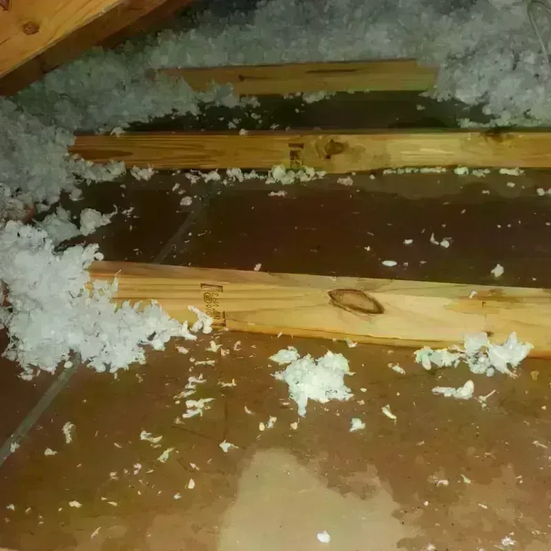 Attic Water Damage in Concord, CA