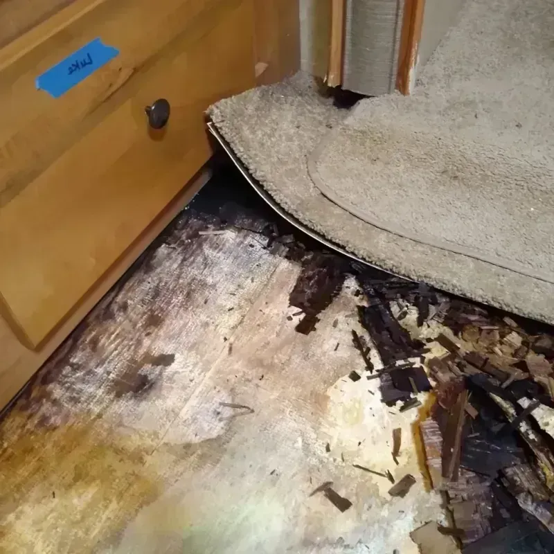 Wood Floor Water Damage in Concord, CA